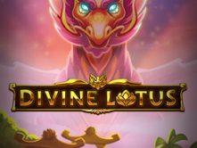 Divine Lotus